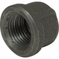 Anvil 1/8 In. Malleable Black Iron Cap 8700132056